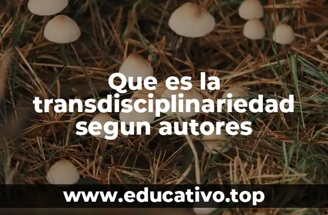 Que es la transdisciplinariedad segun autores