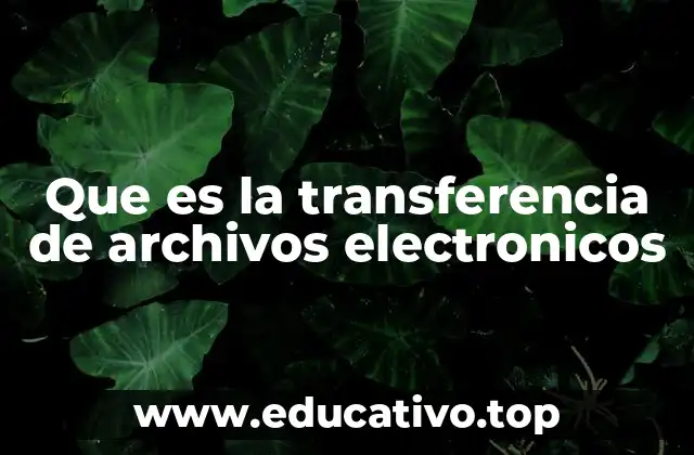 El papel de la transferencia electrónica en la comunicación moderna