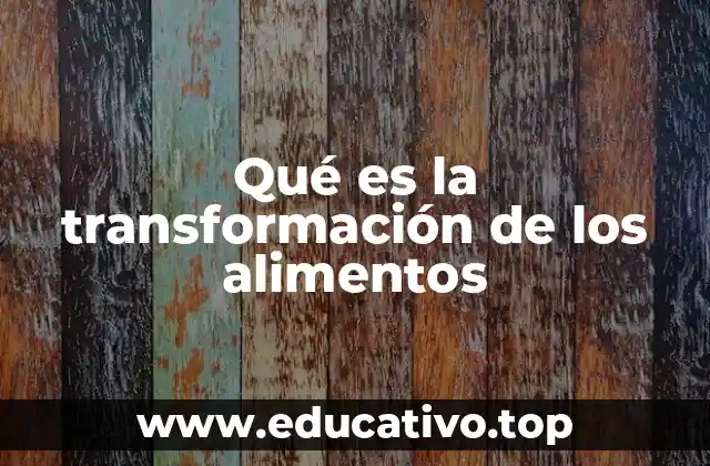 Qué es la transformación de los alimentos
