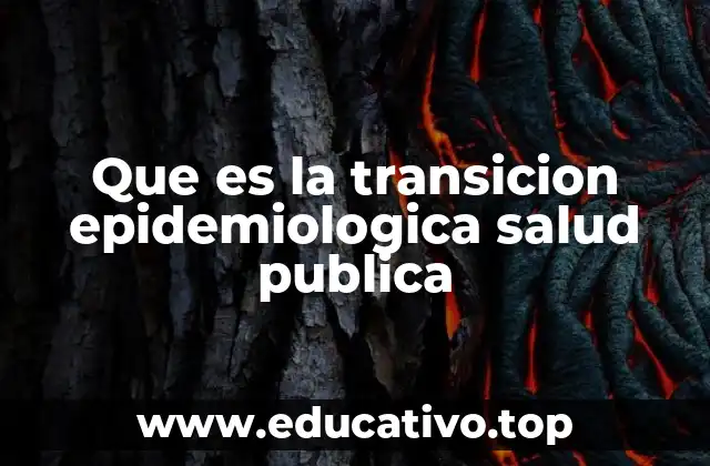 El papel de la salud pública en la evolución de los patrones de enfermedad