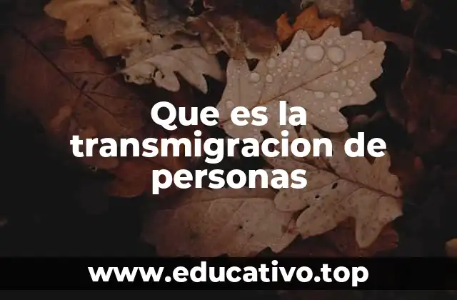 Que es la transmigracion de personas