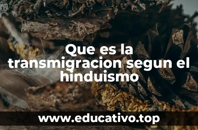 Que es la transmigracion segun el hinduismo