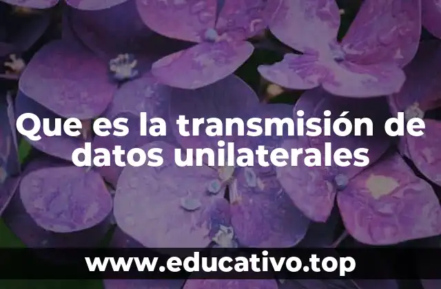 Que es la transmisión de datos unilaterales