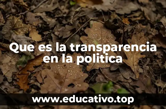 Que es la transparencia en la politica