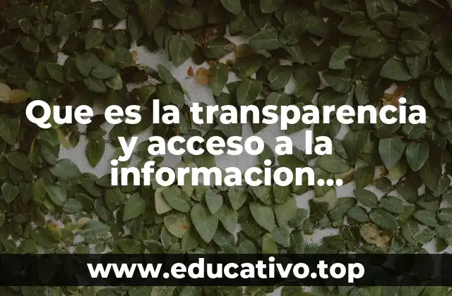 Que es la transparencia y acceso a la informacion gubernamental