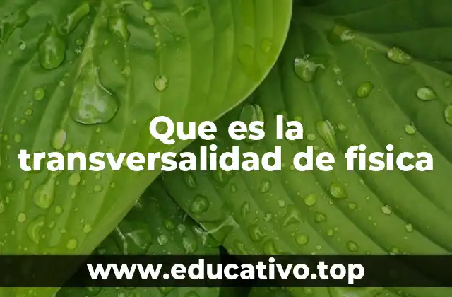 Que es la transversalidad de fisica