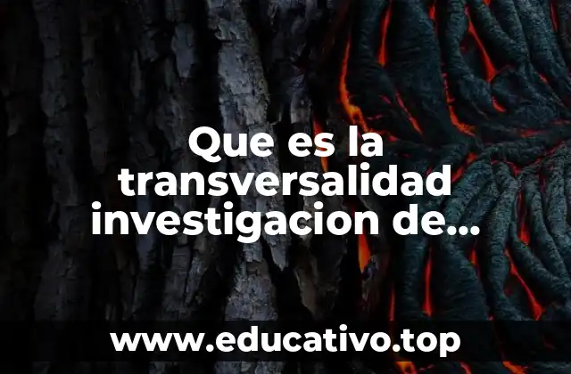 Que es la transversalidad investigacion de mercados