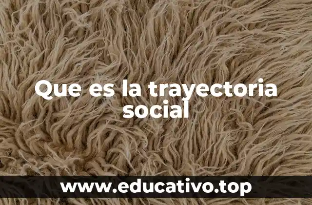Que es la trayectoria social