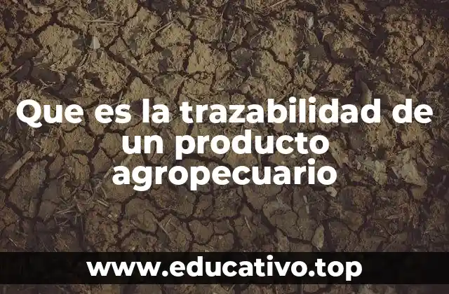 Que es la trazabilidad de un producto agropecuario