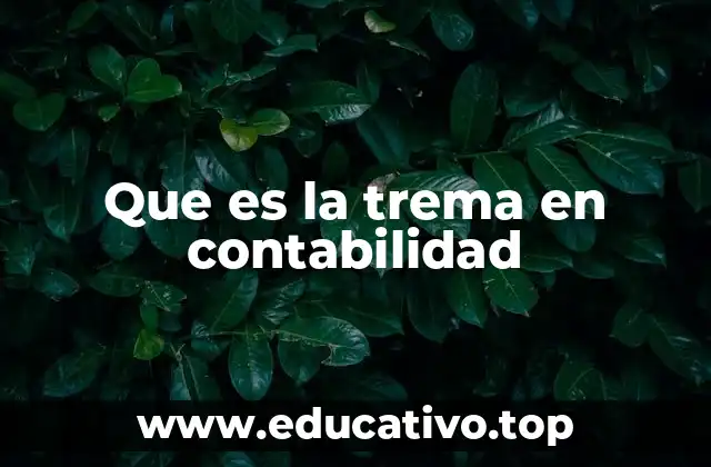 Que es la trema en contabilidad