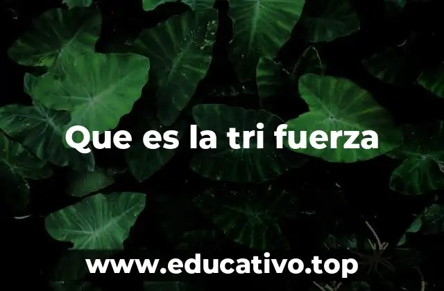 Que es la tri fuerza