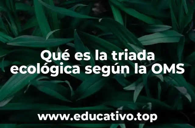 Qué es la triada ecológica según la OMS