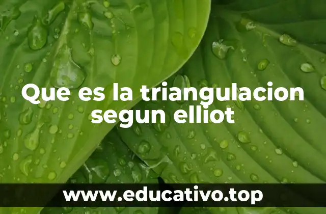 La dinámica familiar y el papel de la triangulación en el sistema familiar
