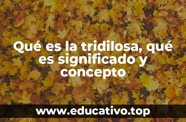 Qué es la tridilosa, qué es significado y concepto