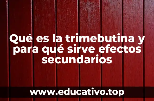 Funcionamiento de la trimebutina en el sistema digestivo