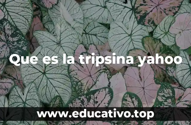 Que es la tripsina yahoo