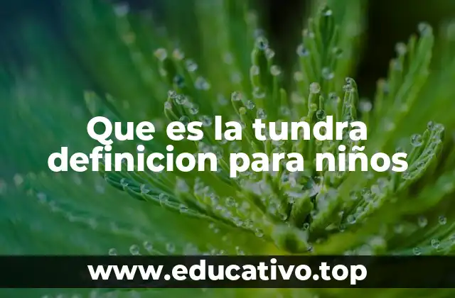 Que es la tundra definicion para niños