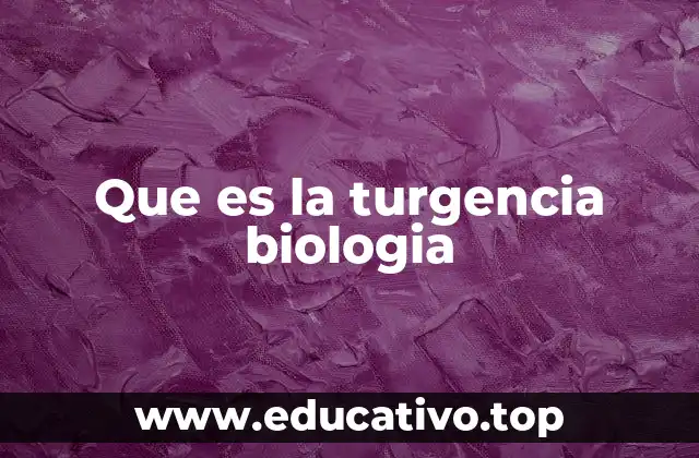 Que es la turgencia biologia