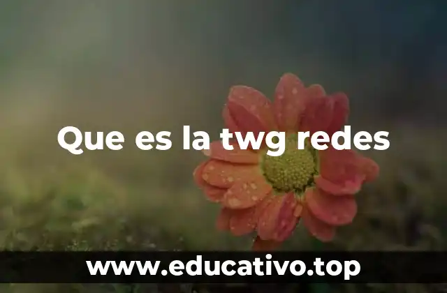 Que es la twg redes