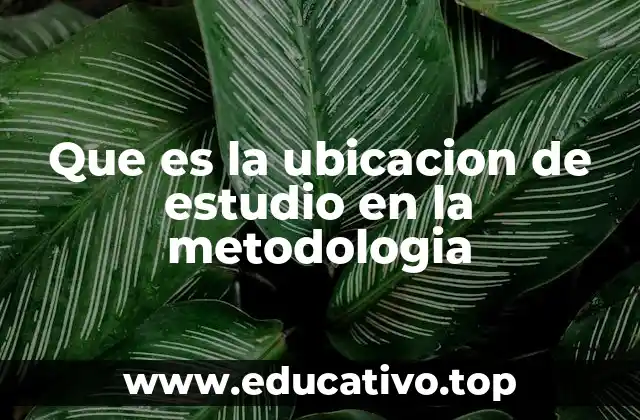 Que es la ubicacion de estudio en la metodologia