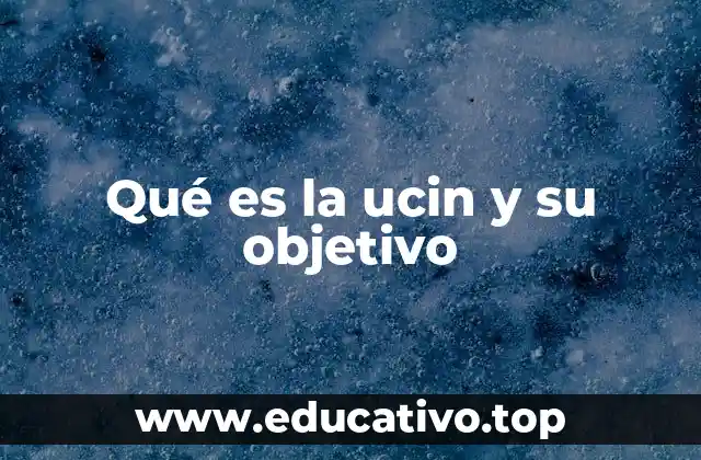 Qué es la ucin y su objetivo