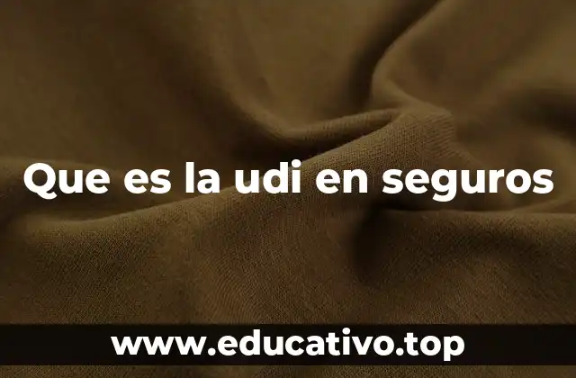 Que es la udi en seguros