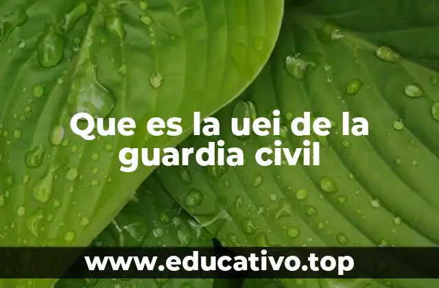 Que es la uei de la guardia civil