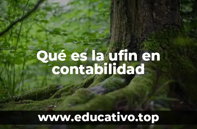 Qué es la ufin en contabilidad
