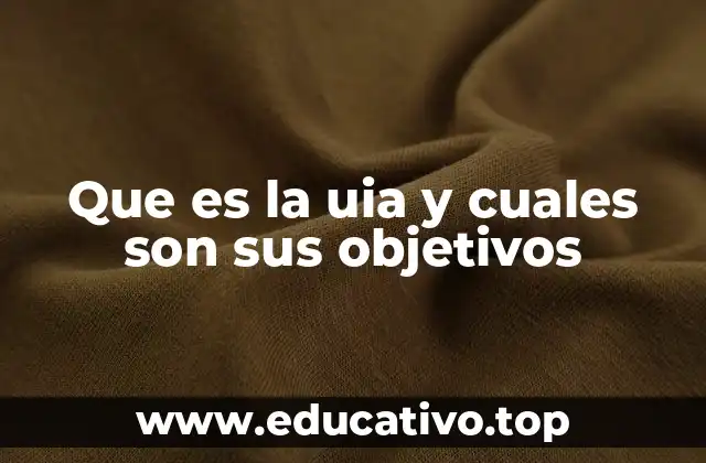 Que es la uia y cuales son sus objetivos