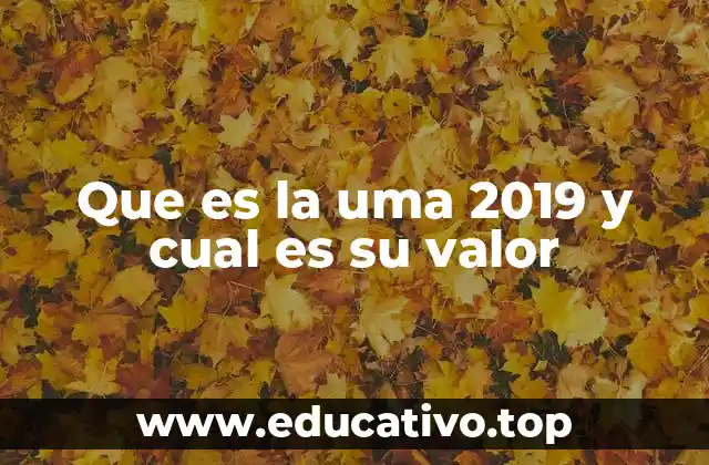 Que es la uma 2019 y cual es su valor