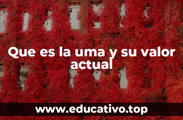 Que es la uma y su valor actual