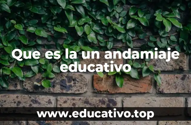Que es la un andamiaje educativo