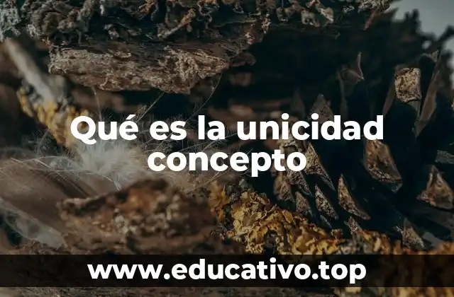 Qué es la unicidad concepto