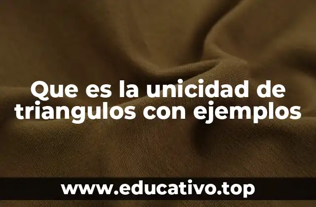 Que es la unicidad de triangulos con ejemplos