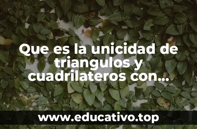 Cómo se determina la unicidad de una figura geométrica