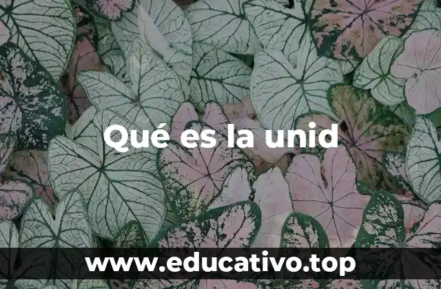 Qué es la unid