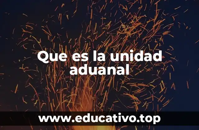 Que es la unidad aduanal
