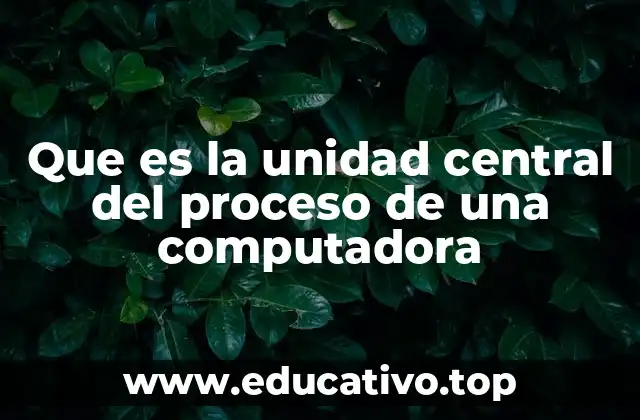 Que es la unidad central del proceso de una computadora