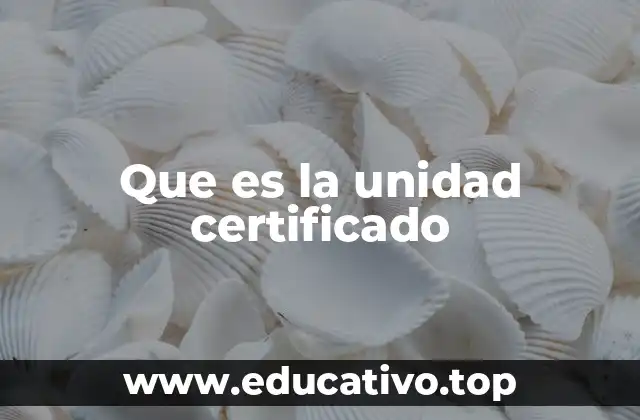 El papel de las unidades certificadas en la seguridad digital