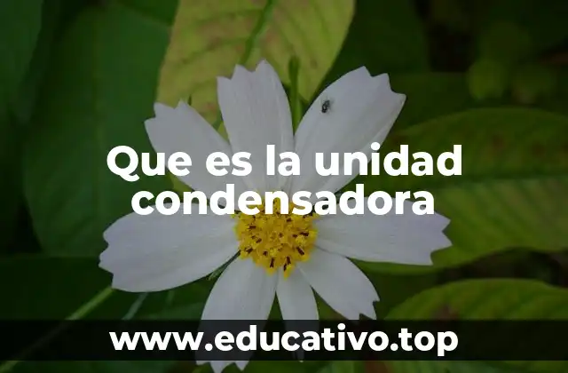 Que es la unidad condensadora