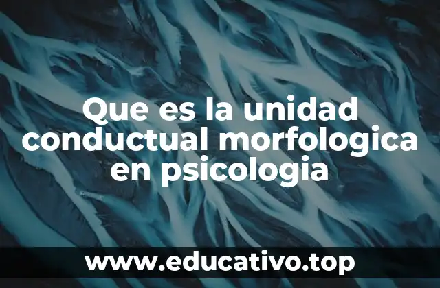 El comportamiento como fenómeno observable