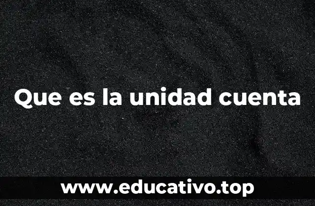 Que es la unidad cuenta