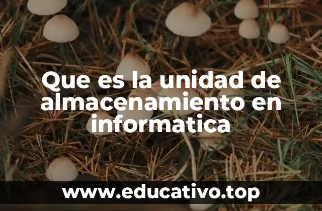 Que es la unidad de almacenamiento en informatica