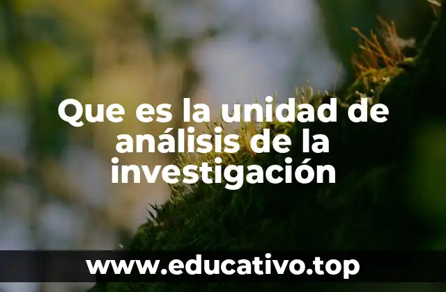 Que es la unidad de análisis de la investigación