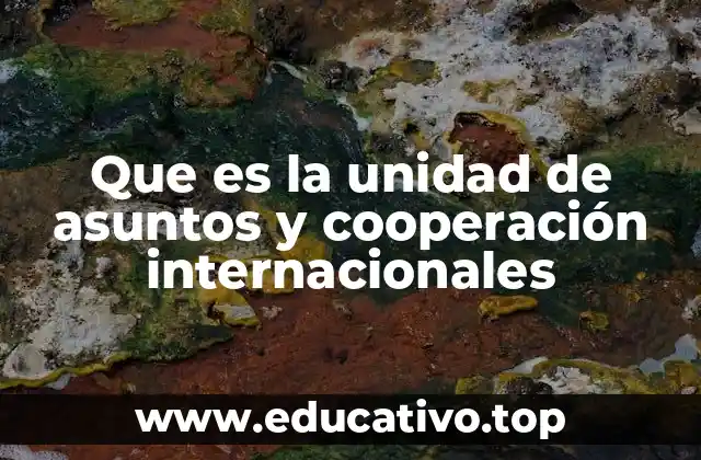 Que es la unidad de asuntos y cooperación internacionales