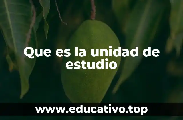 Que es la unidad de estudio