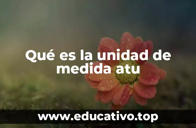 Qué es la unidad de medida atu