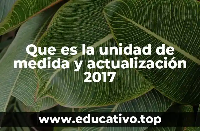 Que es la unidad de medida y actualización 2017