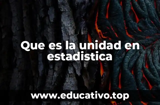 Que es la unidad en estadistica