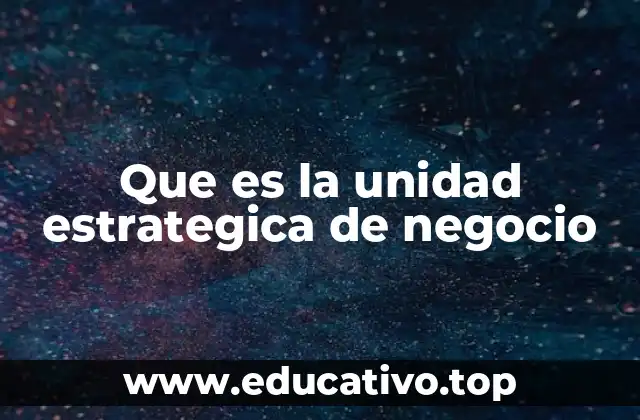 Que es la unidad estrategica de negocio